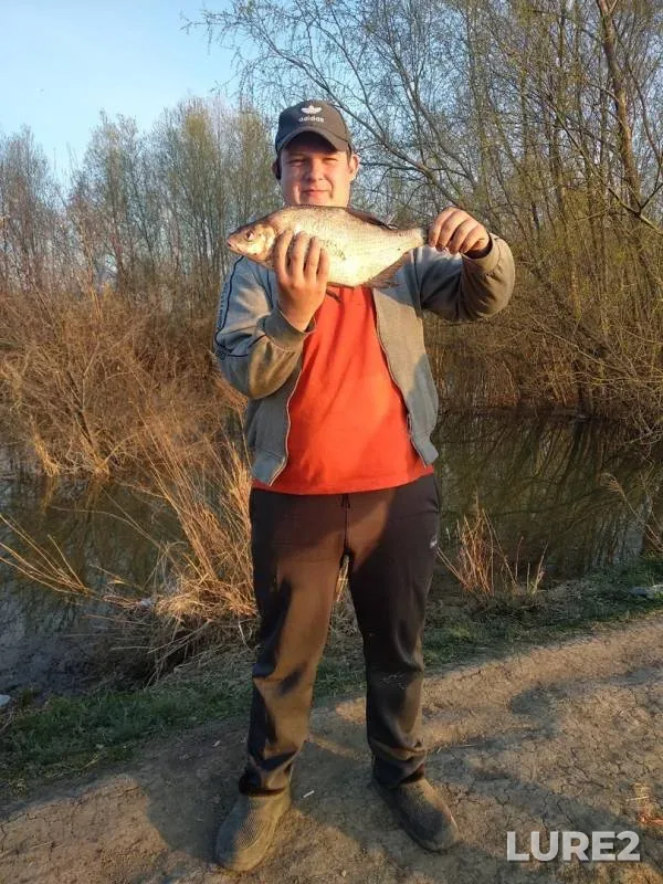 Bream, Perch — Usolka, May 06, 2019