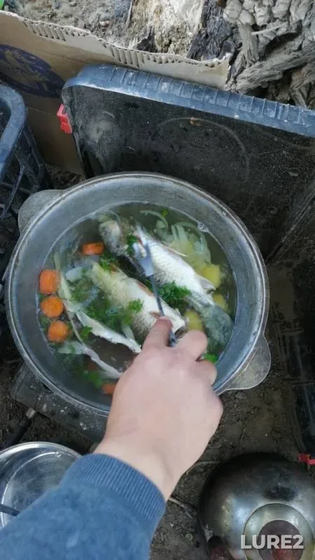 Crucian carp — Syrdariya, May 12, 2019