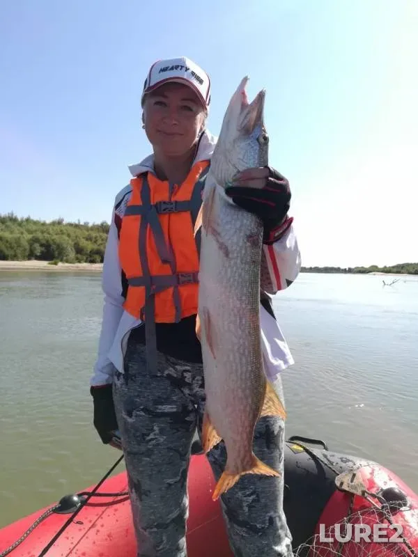 Perch, Pike — Irtysh, Aug 12, 2019