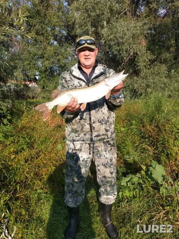 Pike — Staryy Irtysh, Aug 23, 2019