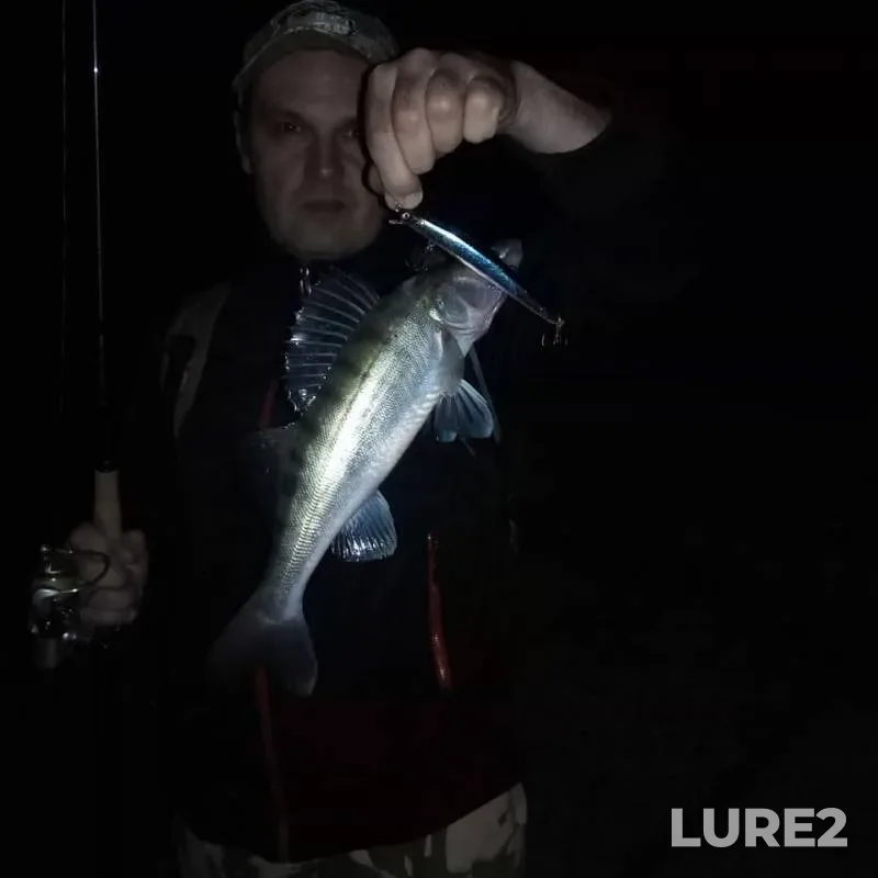Perch, Zander — Irtysh, Aug 23, 2019