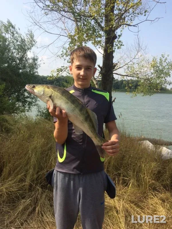 Zander — Irtysh, Aug 23, 2019
