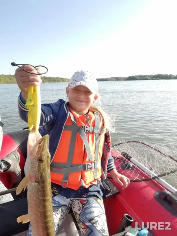 Pike, Zander — Irtysh, Sep 25, 2019