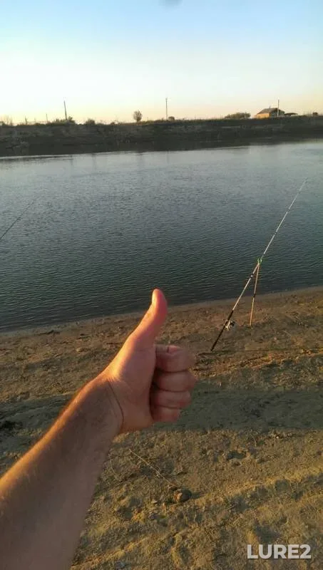 Wels catfish — Ural, Aug 15, 2017