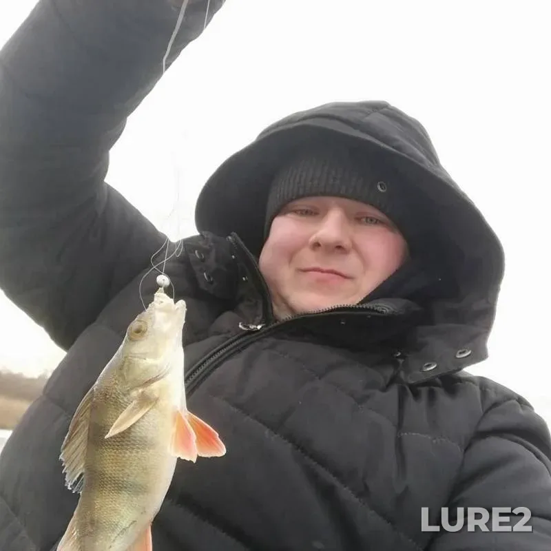 Perch — Usolka, Nov 17, 2019