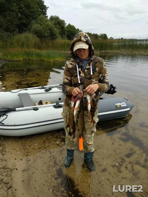 Perch, Pike — Selyava, Sep 01, 2019