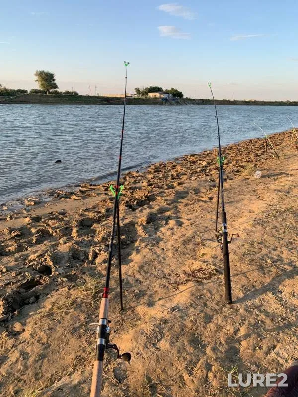 Crucian carp — Ural, Jun 19, 2019
