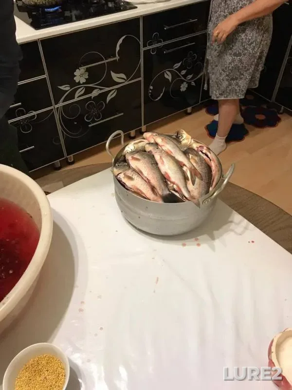 Crucian carp — Ilek, May 05, 2018
