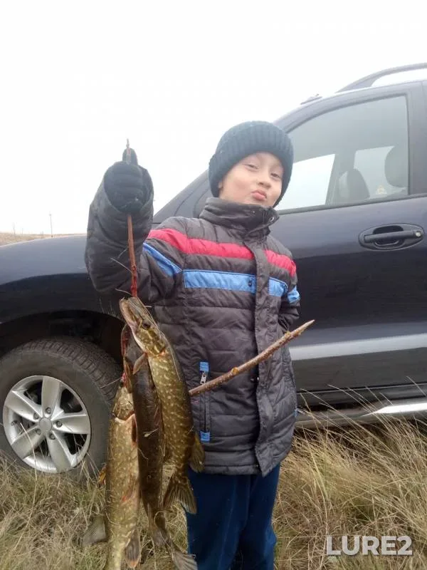 Pike — Zhazdybay, Oct 07, 2018