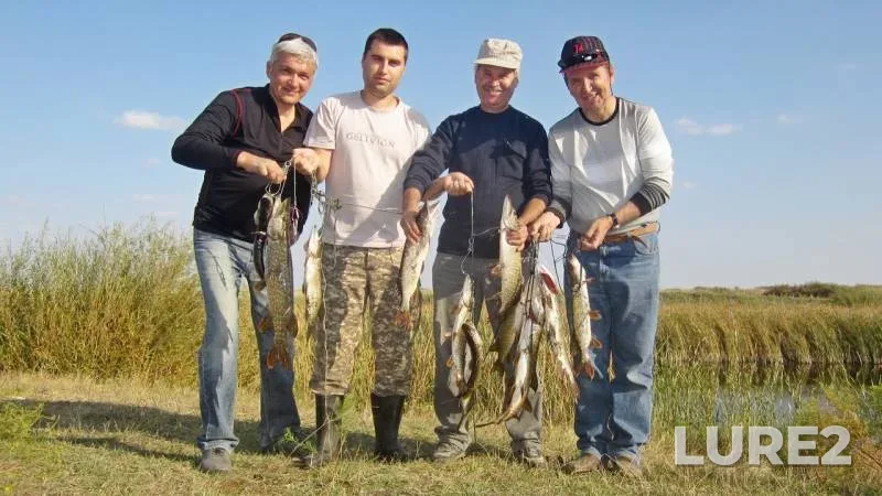 Pike — Aktyubinskaya oblast, Sep 26, 2018
