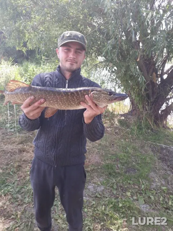 Pike — Sazda, Aug 30, 2018