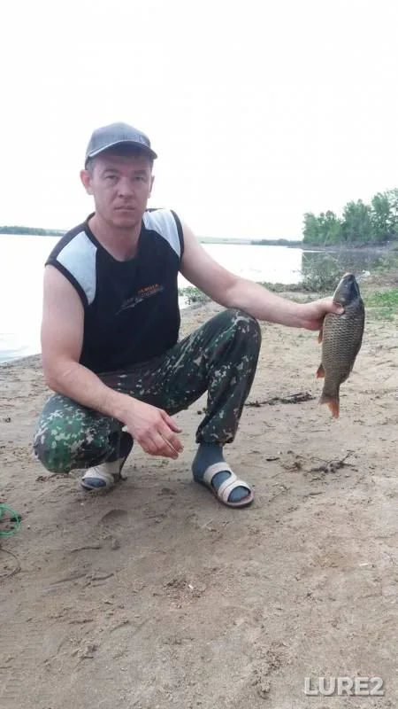 Carp, Crucian carp — Aktyubinskoye, Jun 21, 2018