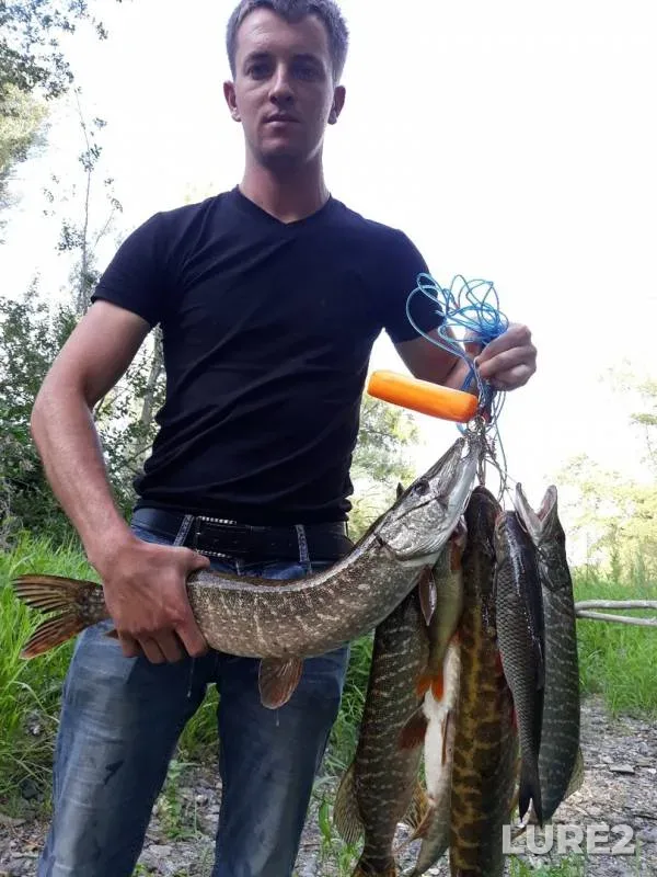 Pike — Zhaksy Kargaly, Aug 24, 2018