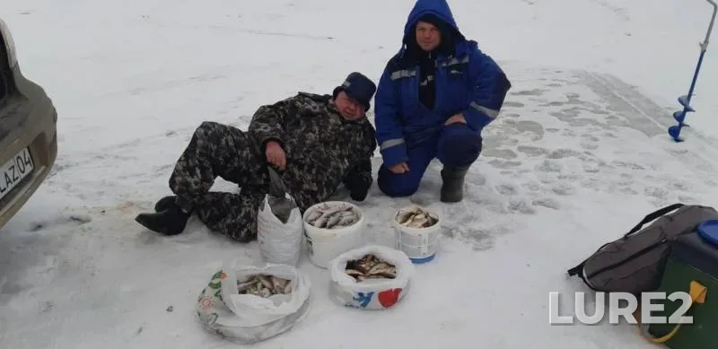 Roach — Kargalinskoye, Dec 03, 2018