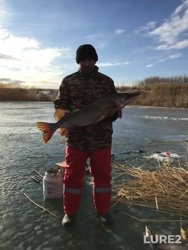 Pike — Bolshaya Khobda, Dec 09, 2018