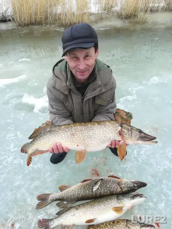Pike — Aktyubinskaya oblast, Mar 29, 2019