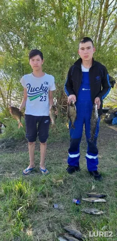 Bream, Wels catfish — Or, Jul 08, 2019
