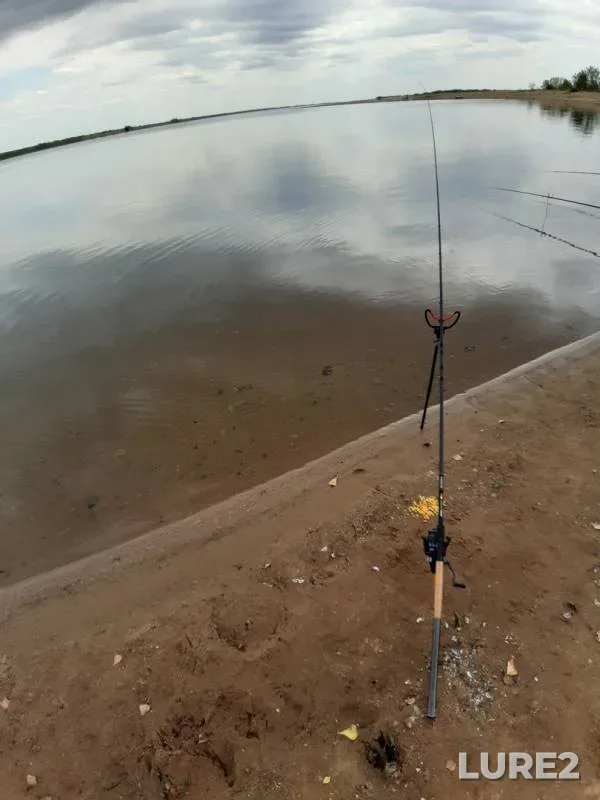 Crucian carp, Roach — Aktyubinskoye, Jul 07, 2019