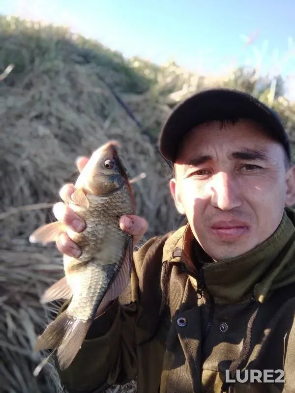 Crucian carp — Aktyubinskaya oblast, May 26, 2019