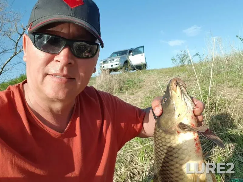 Carp, Crucian carp — Aktyubinskaya oblast, May 08, 2019