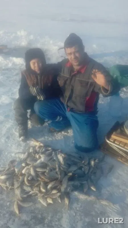 Roach — Kargalinskoye, Jan 28, 2019