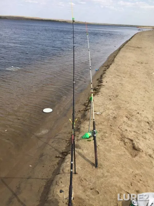Bream, Crucian carp — Ilek, Aug 26, 2019