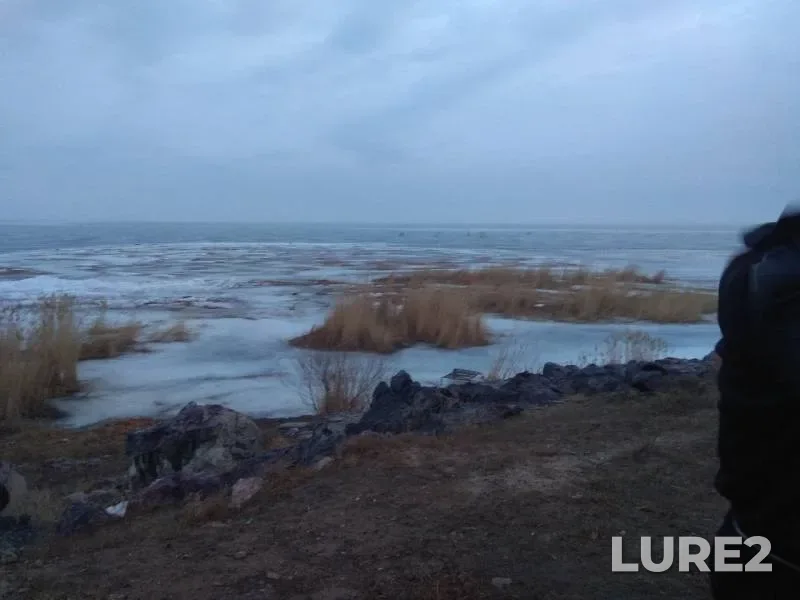 Wels catfish — Balkhash, Mar 03, 2019