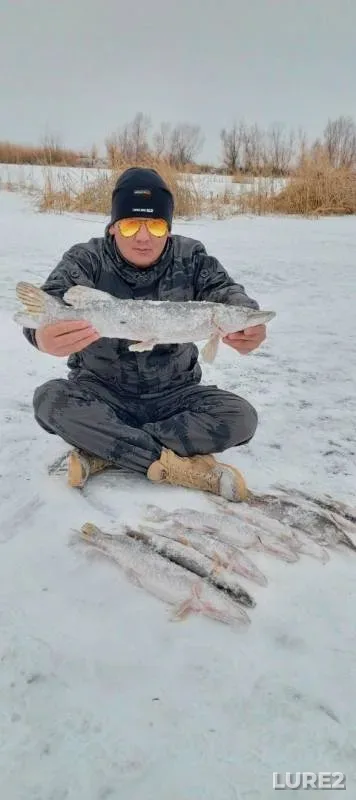 Pike — Aktyubinskaya oblast, Nov 26, 2019