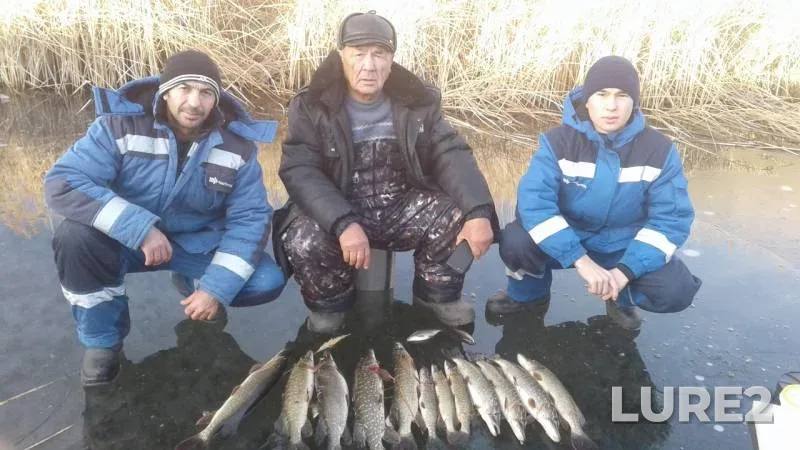Pike — Aktyubinskaya oblast, Nov 19, 2019
