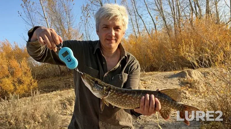 Pike — Aktyubinskaya oblast, Oct 11, 2019