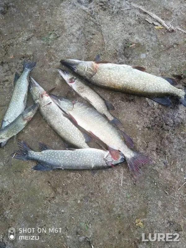 Pike — Karakhobda, Sep 16, 2019