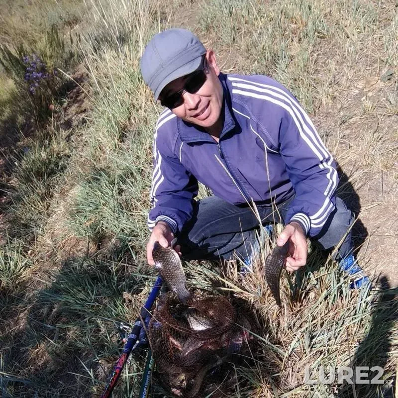 Crucian carp — Ilek, Aug 23, 2019