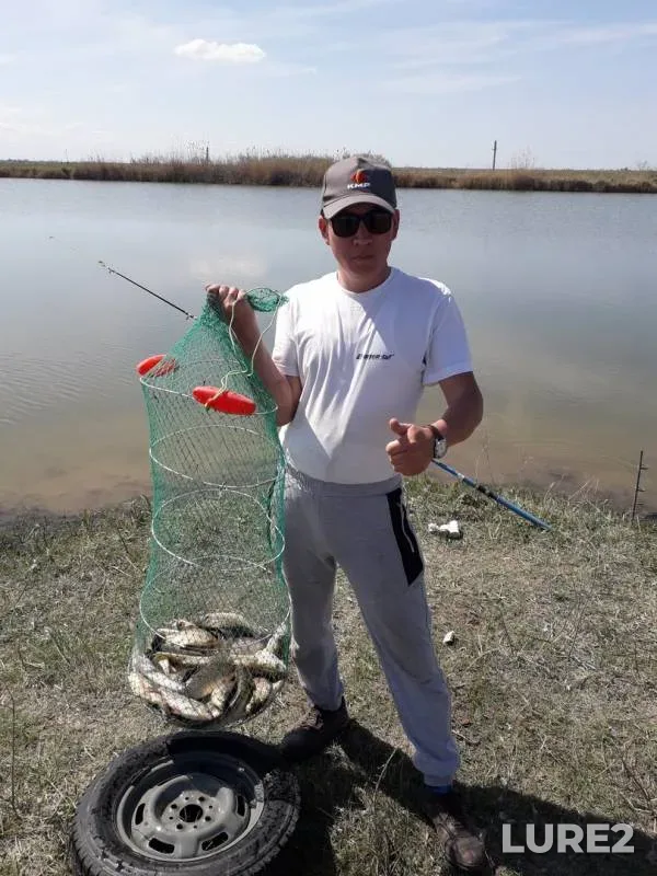 Crucian carp — Talas, Apr 14, 2019