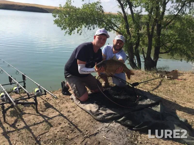 Carp — Almatinskaya oblast, Jul 08, 2019