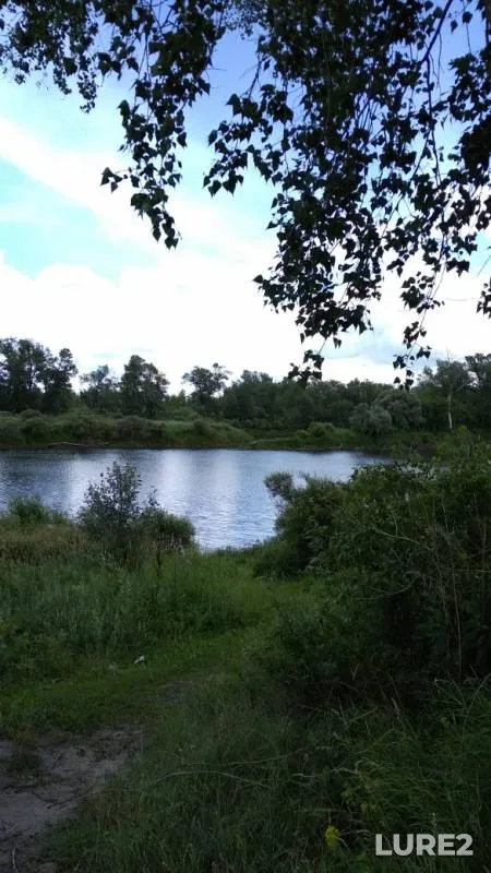 Perch, Pike — Tobyl - Tobol, Jul 07, 2019
