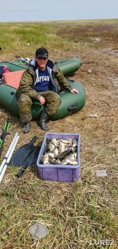 Crucian carp — Polovinnoye, Aug 10, 2019