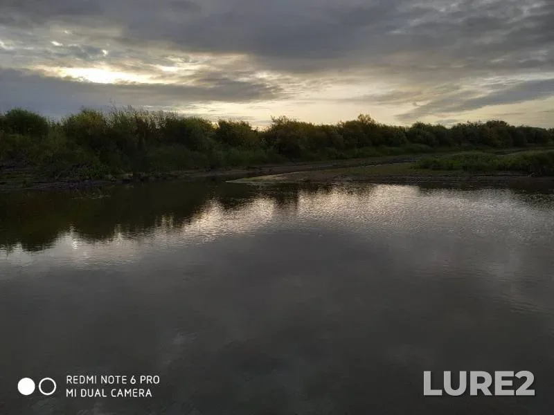 Perch, Pike — Tobyl - Tobol, Aug 09, 2019