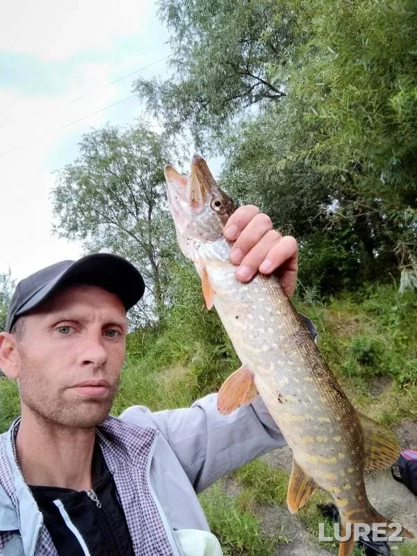 Pike — Tobyl - Tobol, Aug 03, 2019
