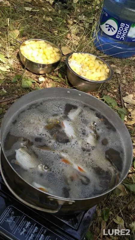 Perch, Pike — Tobyl - Tobol, Jul 20, 2019