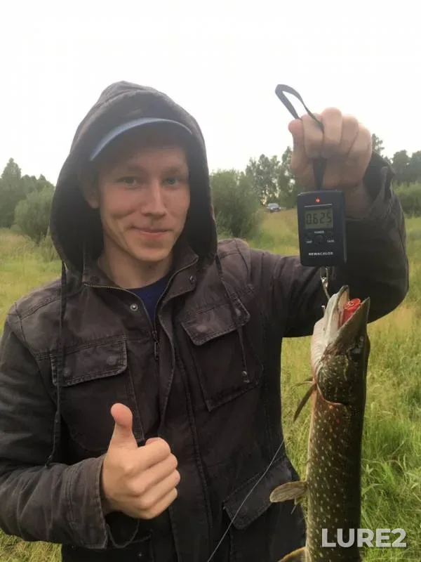 Pike — Kurganskaya oblast, Aug 13, 2019