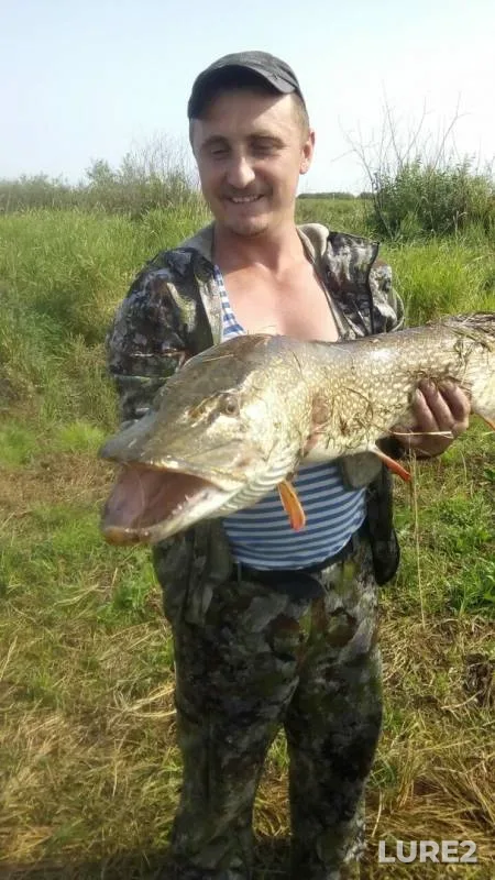 Pike — Tobolchik, Aug 16, 2019