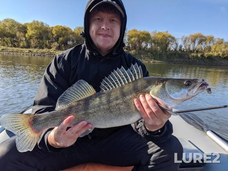 Zander — Tobyl - Tobol, Oct 06, 2019