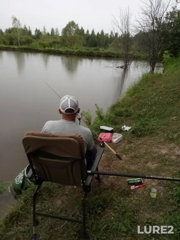 Carp — Tulskaya oblast, Aug 13, 2019