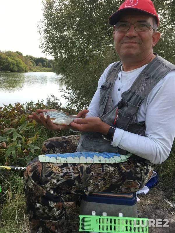 Roach — Sinetulitsa, Sep 01, 2019