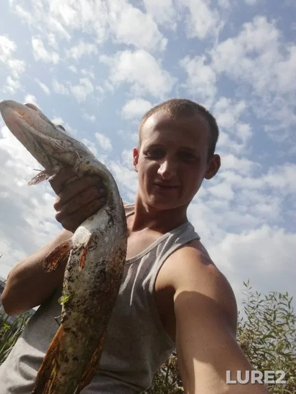 Pike — Upa, Sep 02, 2019