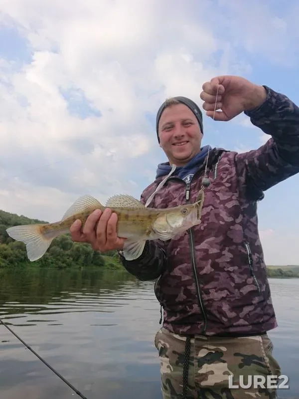 Zander — Oka, Sep 04, 2019