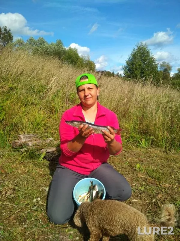 Pike, Roach — Nizhnyaya Vyrka, Sep 15, 2019