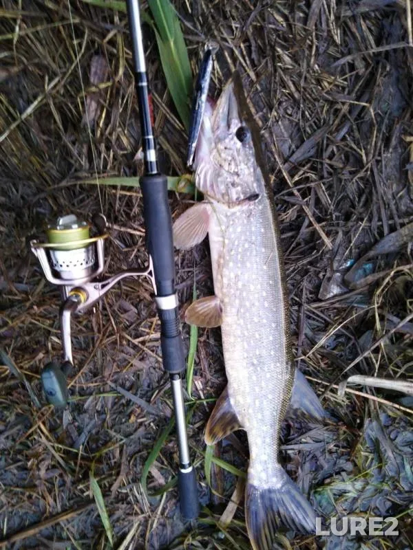 Pike — Upa, Sep 29, 2019