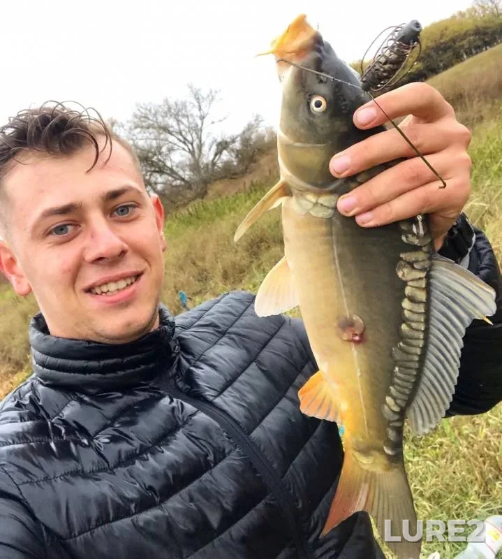 Carp — Psel / Psyol, Oct 01, 2019