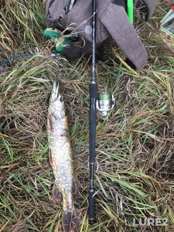 Pike — Upa, Oct 02, 2019